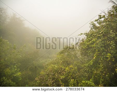 Mountainscape On Tianzishan Mountain In Zhangjiajie National Forest Park In Wulingyuan District Zhan