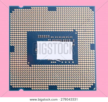 Central Processor Unit Isolated On Pink Background At Dry Sunny Day