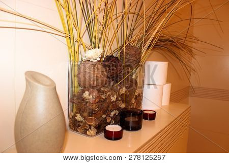 Interior Of The Bathroom Composition Of Dried Flowers, Vases And Toilet Paper