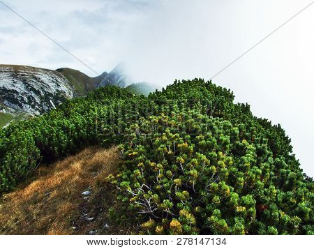The Grassy-rocky Elongated Peak Gulme Or Gulmen In The Alpstein Mountain Range - Canton Of St. Galle