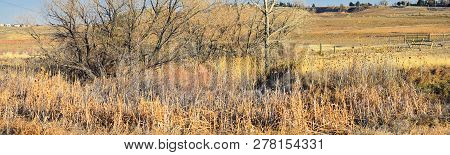 Views From The Cradleboard Trail Walking Path On The Carolyn Holmberg Preserve In Broomfield Colorad