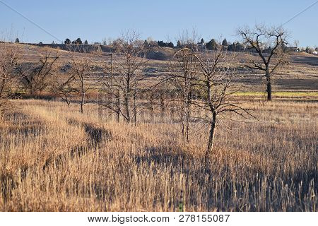 Views From The Cradleboard Trail Walking Path On The Carolyn Holmberg Preserve In Broomfield Colorad