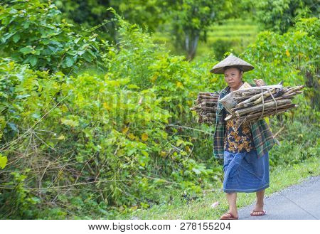 Luang Prabang , Laos - Aug 14 : Laotian Farmer In The Countrside Near Luang Prabang Laos On August 1