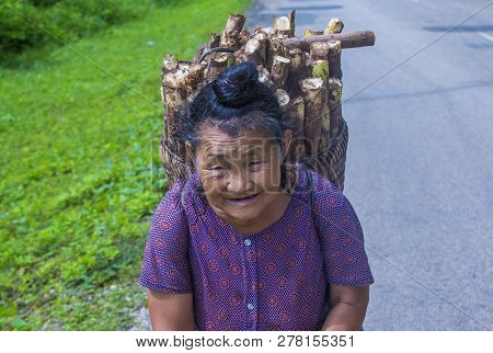 Luang Prabang , Laos - Aug 14 : Laotian Farmer In The Countrside Near Luang Prabang Laos On August 1