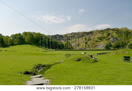 Fields And Farmland Near Tilberthwaite, Coniston, In The English Lake District