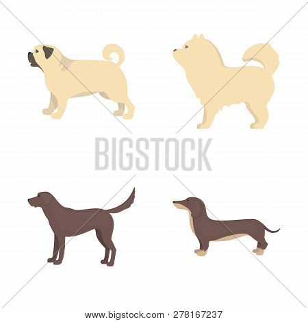 Vector Illustration Of Cute And Puppy Logo. Set Of Cute And Animal Vector Icon For Stock.