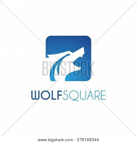 Vector Wolf Square Logo Design Template. Blue Color.