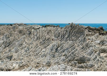 Rock Shape On Kaikura Penninsula Beach, South Island New Zealand Natural Landscape Background