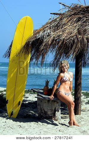 Surfer bionda sexy in bikini rosa e marrone di Swimbay