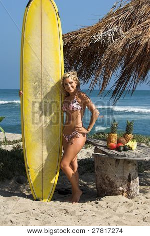 Surfer bionda sexy in bikini rosa e marrone di Swimbay