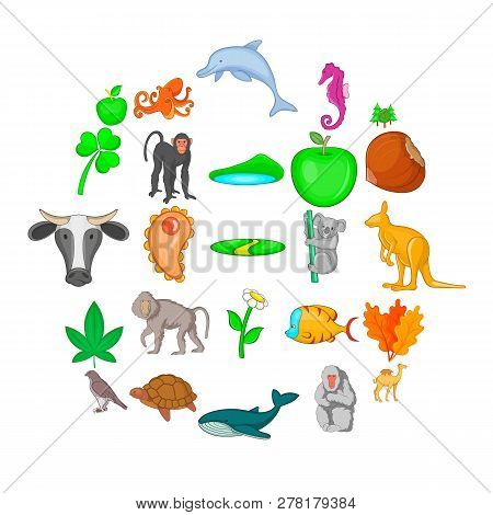 Biosphere Icons Set. Cartoon Set Of 25 Biosphere Icons For Web Isolated On White Background