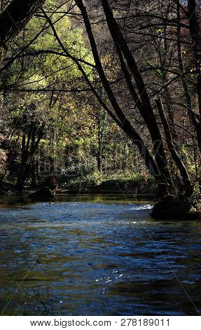 River Mlava