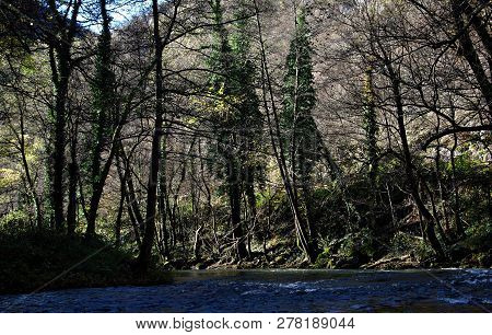 River Mlava