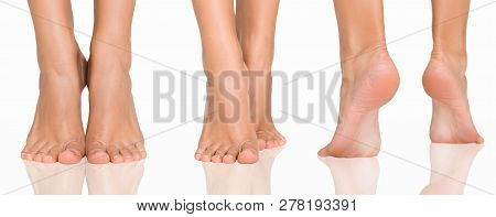 Chiropody And Bodycare. Collection Of Female Feet From Different Directions, Isolated On White Backg
