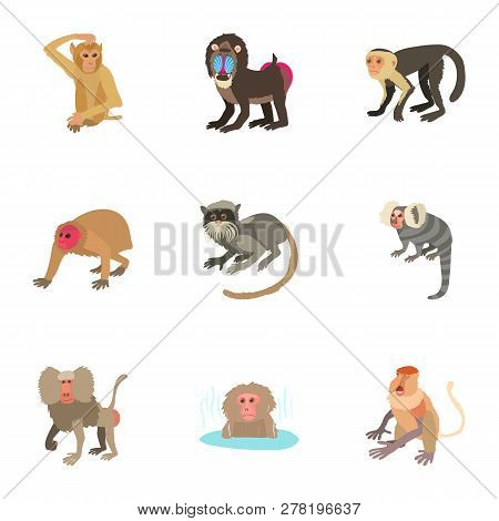 Jacko Icons Set. Cartoon Set Of 9 Jacko Icons For Web Isolated On White Background