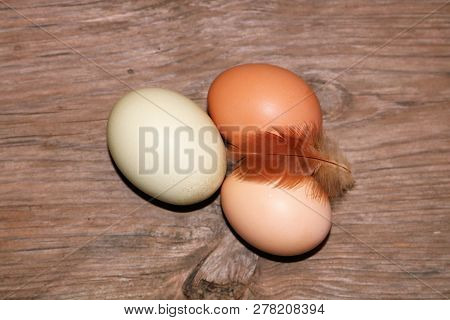Three Farm Fresh Eggs And A Small Red Chicken Feather On A Wood Grain Background.