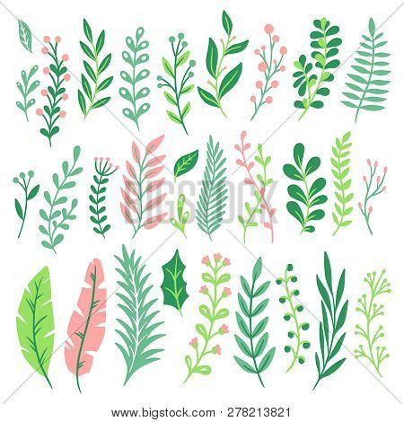 Decor Leaves. Green Plant Leaf, Ferns Greenery And Floral Natural Fern Leaves Isolated Vector Set