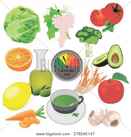 Cholesterol Level Food Control  Reduce Vector Illustration