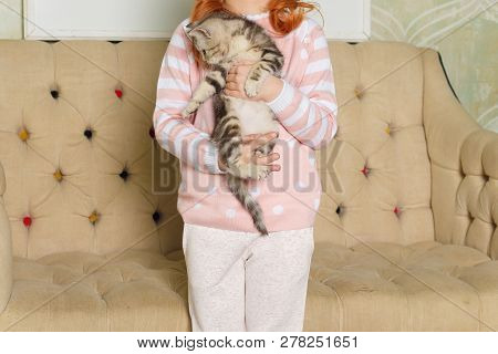 Girl Holding A Striped Kitten On The Background Of A Beige Sofa