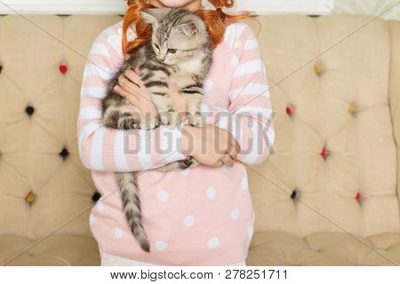 Girl Holding A Striped Kitten On The Background Of A Beige Sofa
