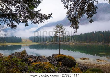 This Magical Tree On Lake Laghi Di Fusine With Nice Reflections On Water On A Foggy Morning In Autum