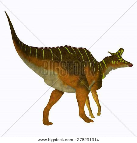 Lambeosaurus Dinosaur 3d Illustration - Lambeosaurus Was A Herbivorous Hadrosaur Dinosaur That Lived