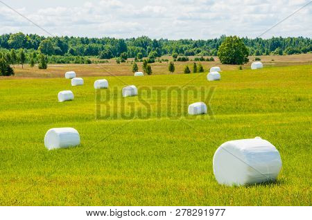 Many White Sacks Of Mown And Packed Hay Laid Out On The Green Field Surrounded By Scenic Landscape