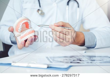 Dentist Learning How To Brush Teeth Concept
