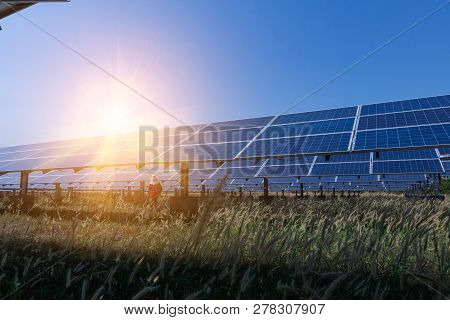 Solar Panel, Alternative Electricity Source - Concept Of Sustainable Resources, And This Is A New Sy