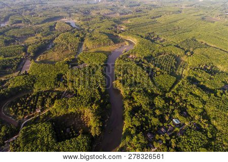 Green Nature Scenic Of Rain Forest With Curve Of River Sunrise