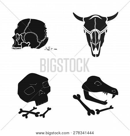 Vector Design Of Skeleton And Character Logo. Set Of Skeleton And Halloween Vector Icon For Stock.