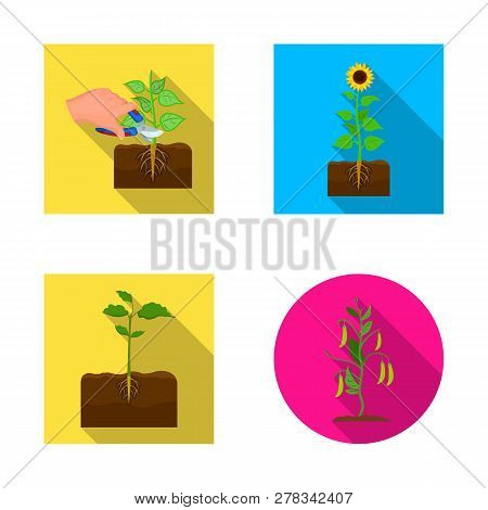 Vector Design Of Plant And Bean Sign. Set Of Plant And Process Stock Vector Illustration.