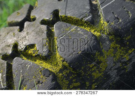 An Old Abandoned Car Tire Overgrown With Yellow Moss.