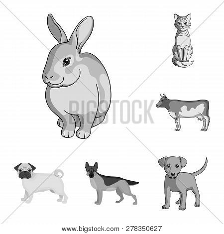 Vector Illustration Of Animal And Habitat Sign. Set Of Animal And Farm Stock Vector Illustration.