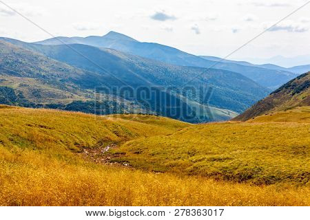 Beautiful Landscape In Carpathian Mountains.