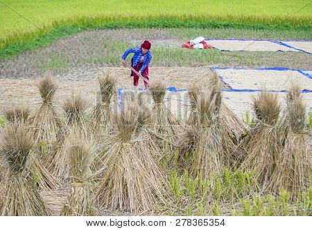 Ha Giang , Vietnam - Sep 15 : Vietnamese Farmer In A Countrside Near Ha Giang Vietnam On September 1