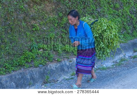 Ha Giang , Vietnam - Sep 15 : Vietnamese Farmer In A Countrside Near Ha Giang Vietnam On September 1
