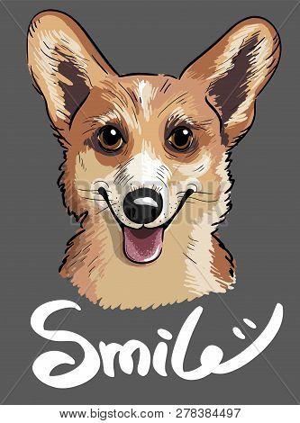 Stylish Print Of Welsh Corgi Dog In Sketch Style.