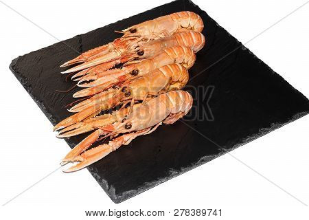 Cooked Langoustines , Nephrops Norvegicus, Dublin Bay Prawn Or Norway Lobsters On Black Slate