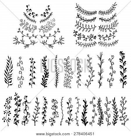 Collection Of Hand Drawn Monochrome Plants Decorative Elements. Ornament Design Element Stock Vector