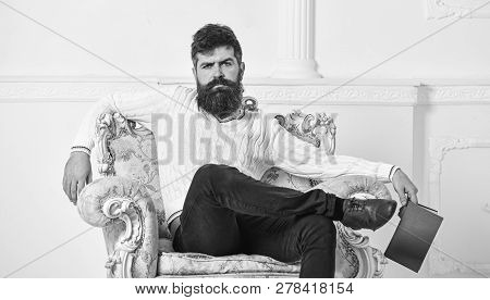 Man With Beard And Mustache Sits On Armchair, Holds Book, White Wall Background. Connoisseur On Thou