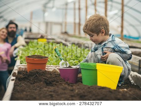 Polytunnel Farmer. Polytunnel Farmer Small Boy Working On Ground. Little Farmer Work In Polytunnel. 