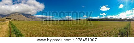 Typical Landscape On The South Island Of New Zealand