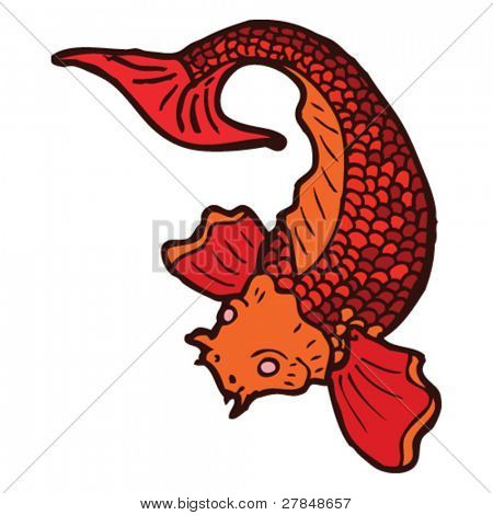 koi carp tattoo drawing