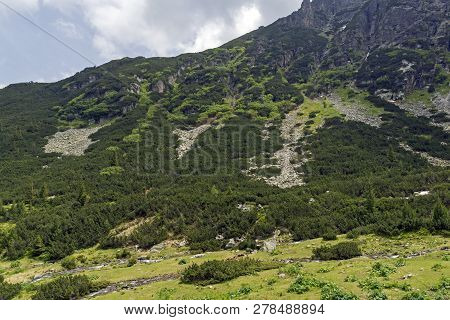 Summer Landscape Of Malyoviska River Valley, Rila Mountain, Bulgaria