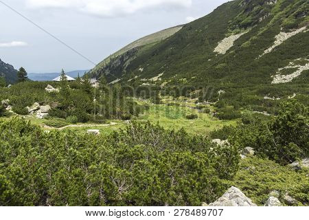 Summer Landscape Of Malyoviska River Valley, Rila Mountain, Bulgaria