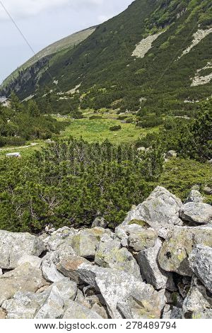 Summer Landscape Of Malyoviska River Valley, Rila Mountain, Bulgaria