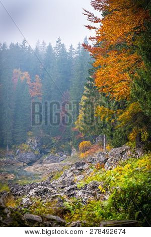 View Over Lake Laghi Di Fusine On A Foggy Morning With Some Rocks At The Beach And Mountain Range Ma