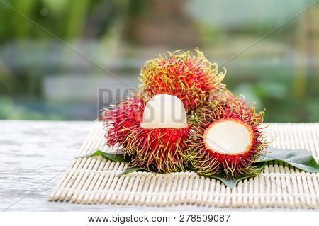 Rambutan Fruit On Trunk In The Garden,ripe And Green Rambutan Growing In Garden/colorful Red Fruit A
