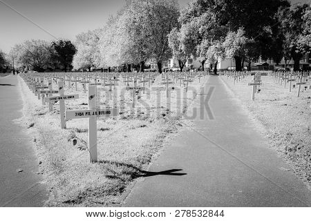 Christchurch New Zealand - October 9, 2018; Field Of Commemorative Crosses In Black And White